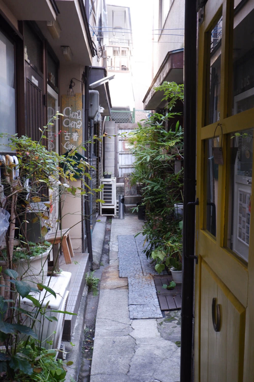 中崎町 緑のある細い路地裏